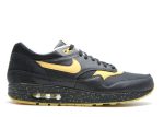 Air Max 1 Premium TZ ‘Livestrong’