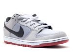 Dunk Low Pro SB