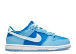 Dunk Low Retro QS PS ‘Argon’ 2022