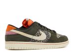 Dunk Low SE ‘Gone Fishing – Rainbow Trout’