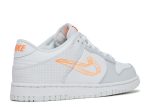 Dunk Low SE GS ‘3D Swoosh’