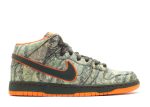 Dunk Mid Premium SB ‘Real Tree Camo’