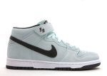 Dunk Mid Pro SB