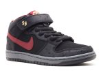 Dunk Mid Pro Sb