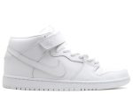 Dunk Mid Pro Sb