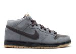 Dunk Mid Pro Sb