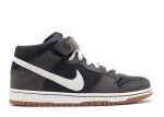 Dunk Mid Pro Sb