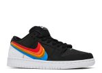 Polaroid x Dunk Low SB